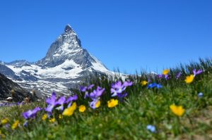 The iconic Matterhorn of the Swiss Alps